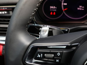 2023Panamera 2.9T п؅^