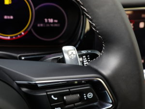 2023Panamera 2.9T п؅^