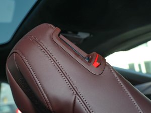 2023Panamera L 2.9T g