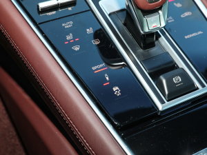 2023Panamera L 2.9T п؅^