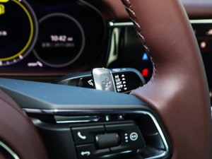 2023Panamera L 2.9T п؅^