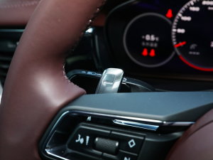 2023Panamera L 2.9T п؅^