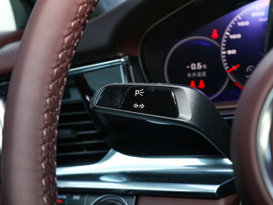 2023Panamera L 2.9T п؅^