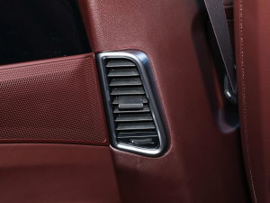 2023Panamera L 2.9T п؅^