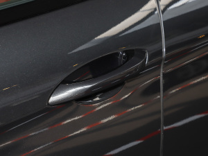 2023Panamera 4 L 2.9T {T