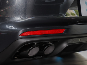 2023Panamera 4 L 2.9T ^