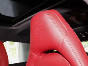 2023Panamera 4 L 2.9T g