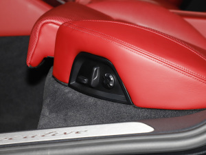 2023Panamera 4 L 2.9T g