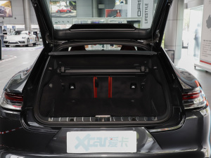 2023Panamera 4 L 2.9T g