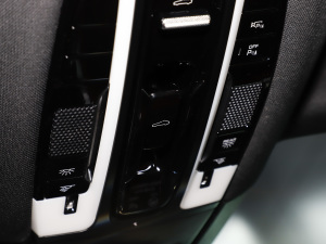 2023Panamera 4 L 2.9T п؅^(q)