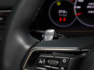 2023Panamera 4 L 2.9T п؅^(q)