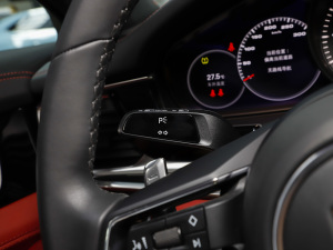 2023Panamera 4 L 2.9T п؅^(q)