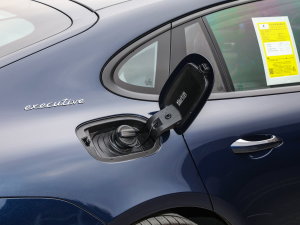 2023Panamera 4 E-Hybrid ӳ 2.9T 