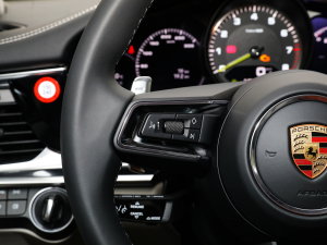 2023Panamera 4 E-Hybrid L 2.9T п؅^