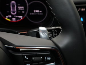 2023Panamera 4 E-Hybrid L 2.9T п؅^