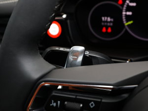 2023Panamera 4 E-Hybrid L 2.9T п؅^