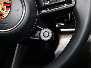 2023Panamera 4 E-Hybrid L 2.9T п؅^