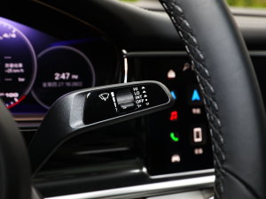 2023Panamera 4 E-Hybrid L 2.9T п؅^