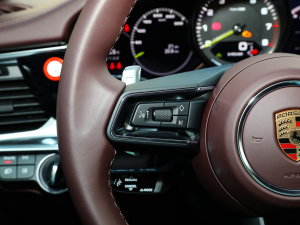 2023Panamera 4 E-Hybrid 2.9T п؅^