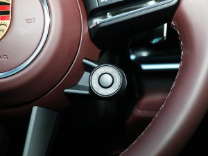 2023Panamera 4 E-Hybrid 2.9T п؅^