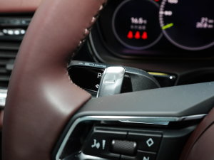 2023Panamera 4 E-Hybrid 2.9T п؅^