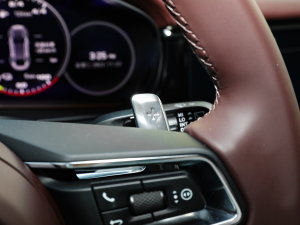 2023Panamera 4 E-Hybrid 2.9T п؅^