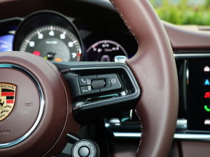 2023Panamera 4 E-Hybrid 2.9T п؅^