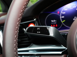 2023Panamera 4 E-Hybrid 2.9T п؅^