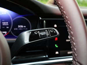 2023Panamera 4 E-Hybrid 2.9T п؅^