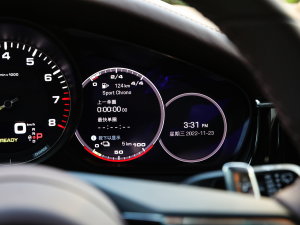 2023Panamera 4 E-Hybrid 2.9T п؅^