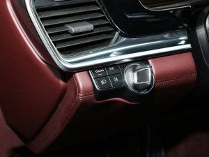 2023Panamera 4 E-Hybrid 2.9T п؅^