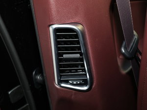 2023Panamera 4 E-Hybrid 2.9T п؅^