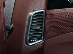 2023Panamera 4 E-Hybrid 2.9T п؅^