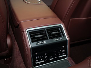 2023Panamera 4 E-Hybrid 2.9T п؅^