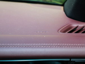 2023Panamera 4 E-Hybrid 2.9T п؅^