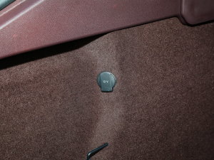 2023Panamera 4 E-Hybrid 2.9T п؅^