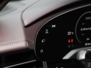 2024Taycan 4 п؅^(q)