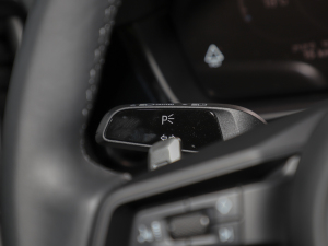 2025Cayenne Coup 3.0T п؅^