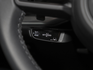 2025Cayenne Coup 3.0T п؅^