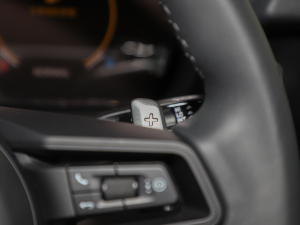 2025Cayenne Coup 3.0T п؅^