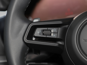 2025Cayenne Coup 3.0T п؅^