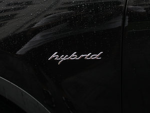 2011S E-Hybrid (ji)^