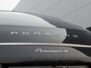 20134 Platinum Edition ^