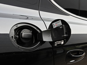 20134 Platinum Edition w