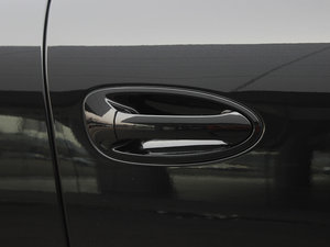 20134 Platinum Edition {T