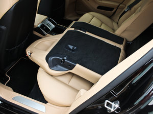 20134 Platinum Edition g