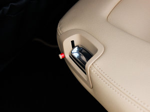 20134 Platinum Edition g