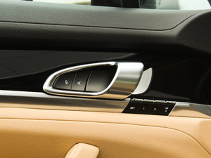 20134 Platinum Edition g