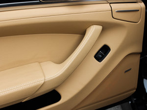 20134 Platinum Edition g