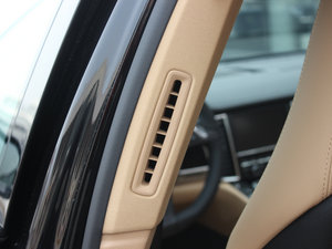 20134 Platinum Edition g